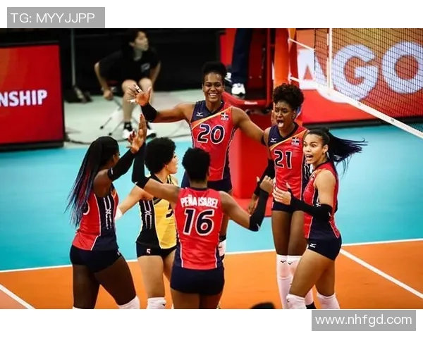 南京排球队力量争议引发热议球迷与专家观点交锋解析