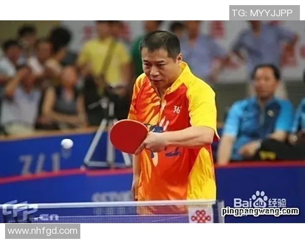 广州乒乓球队迎来力量变革引发热议探索新战略与未来发展之路