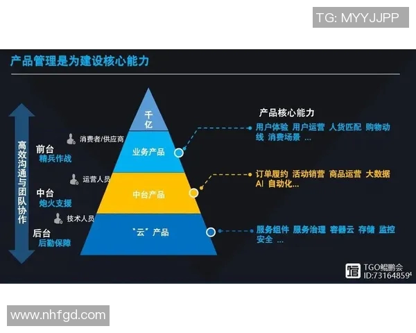 杭州篮球队运营体系中的战术创新与团队协作研究