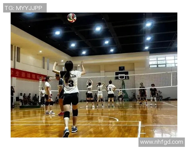 上海排球队团队协作能力显著提升创新高引领全国排球发展新趋势