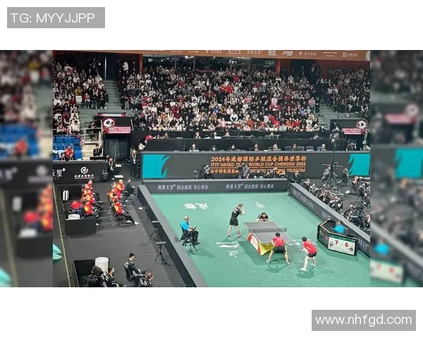 成都乒乓球队选拔赛精彩点评：团队配合与个人技术的完美结合