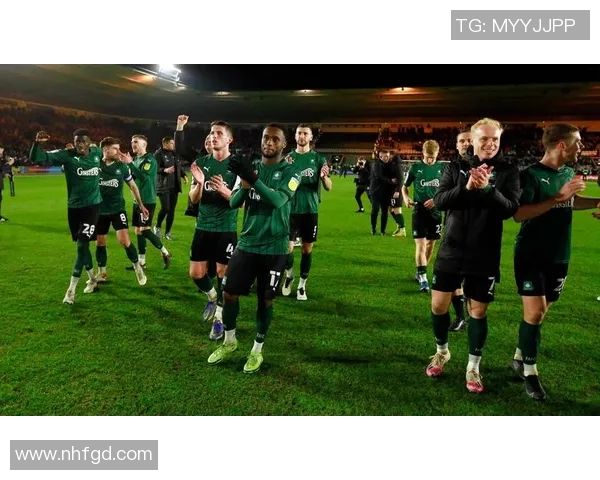 加的夫城与罗瑟汉姆的激烈对决揭示英冠赛季的竞争格局 加的夫城与罗瑟汉姆的激烈对决揭示英冠赛季的竞争格局