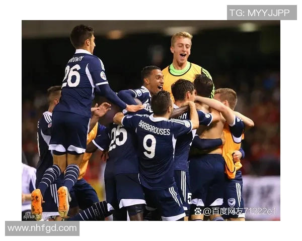 墨尔本胜利对阵首尔精彩视频回顾与赛后分析分享