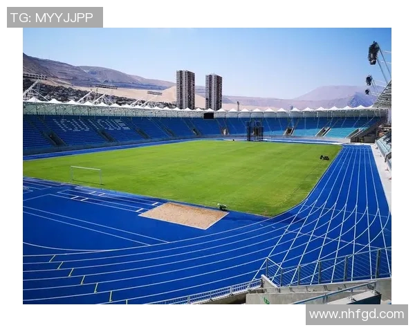 戈竞技与布拉干蒂的较量揭示了足球战术与团队协作的魅力 戈竞技与布拉干蒂的较量揭示了足球战术与团队协作的魅力